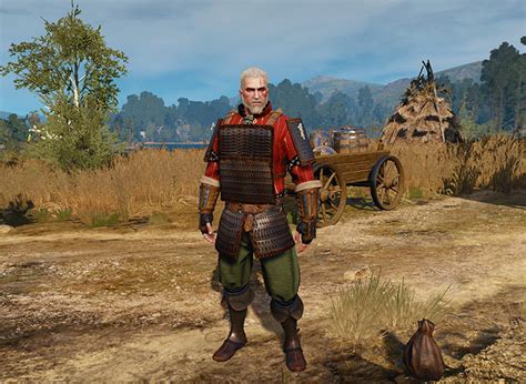 witcher 3 mods|More.